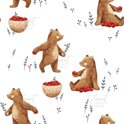 Bear and apples