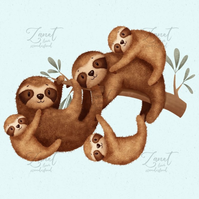 Sloths - png clipart
